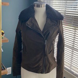NWOT A&F Moto Jacket with Removable Collar